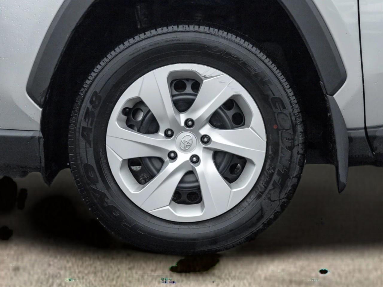 2025 Toyota RAV4 LE AWD Photo