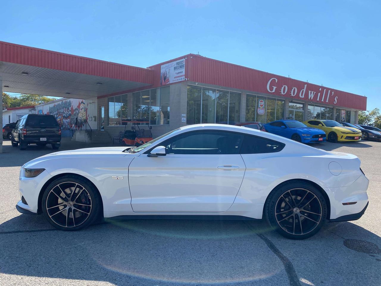 2017 Ford Mustang GT, 6 SPEED MANUAL, 5L, HEATED/ COOLED LEATHER! Photo