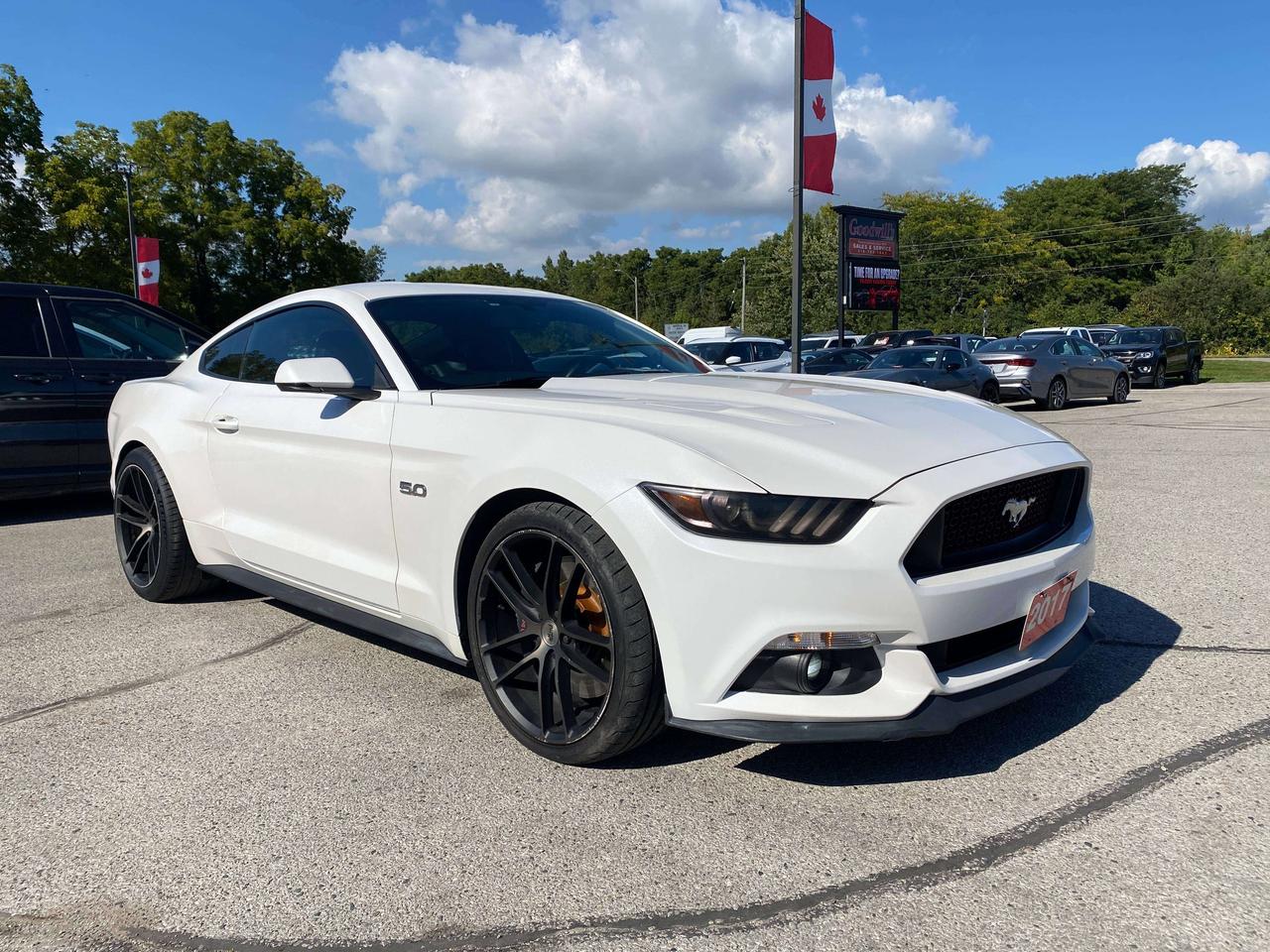 2017 Ford Mustang GT, 6 SPEED MANUAL, 5L, HEATED/ COOLED LEATHER! Photo