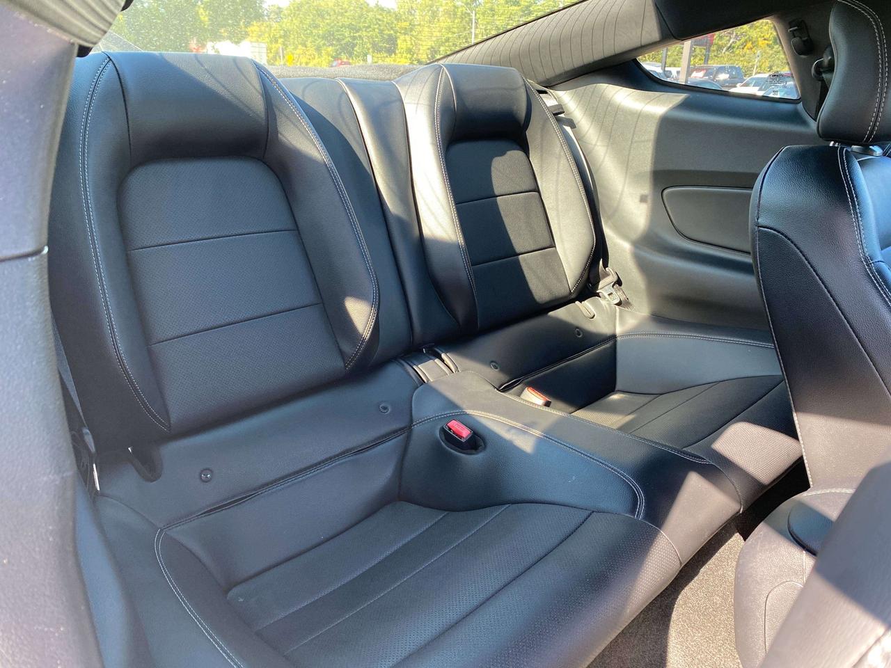 2017 Ford Mustang GT, 6 SPEED MANUAL, 5L, HEATED/ COOLED LEATHER! Photo