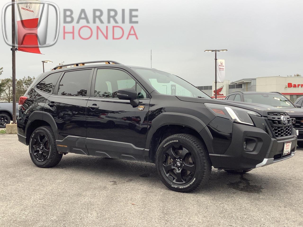 2022 Subaru Forester Wilderness 4dr All-Wheel Drive Photo