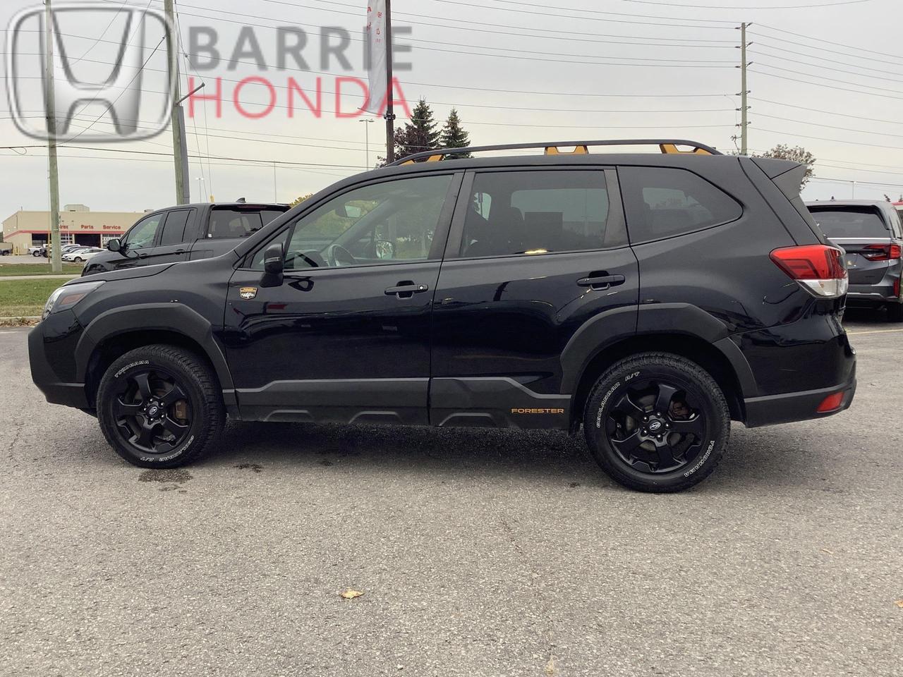2022 Subaru Forester Wilderness 4dr All-Wheel Drive Photo