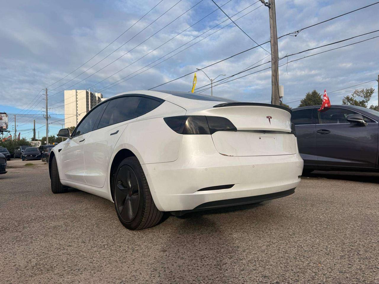2019 Tesla Model 3 Standard Range RWD *Ltd Avail* Photo