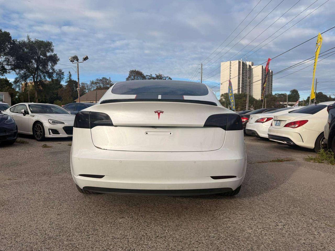 2019 Tesla Model 3 Standard Range RWD *Ltd Avail* Photo