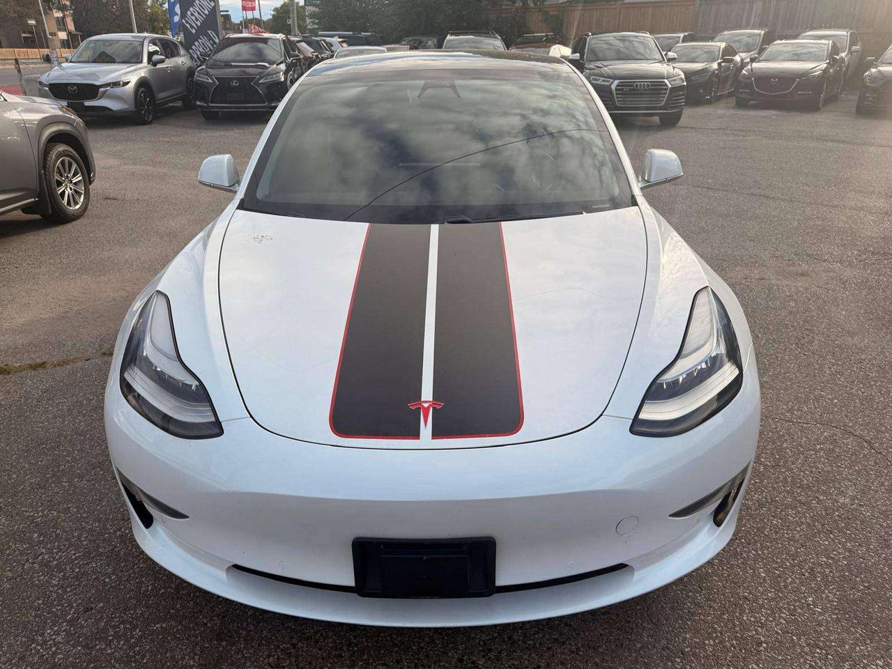2019 Tesla Model 3 Standard Range RWD *Ltd Avail* Photo