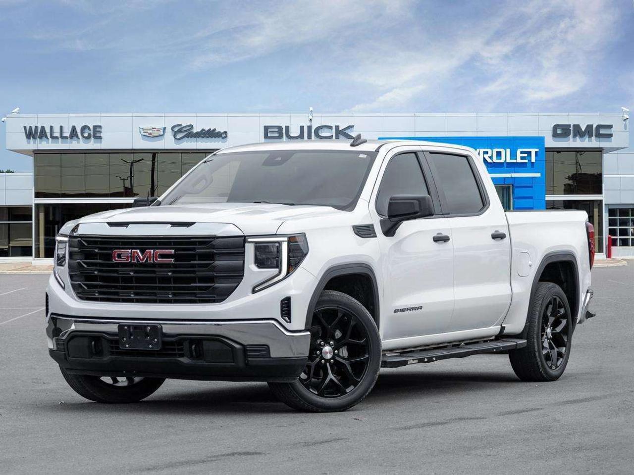 2022 GMC Sierra 1500 Crew Cab Short Box 4-Wheel Drive Pro Photo0