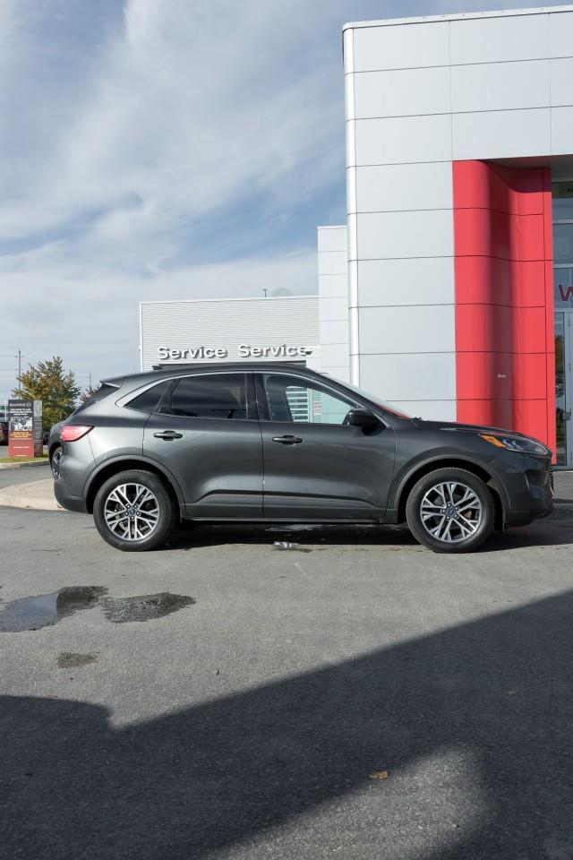 2020 Ford Escape SEL 4dr All-Wheel Drive Photo2