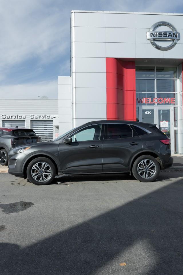 2020 Ford Escape SEL 4dr All-Wheel Drive Photo4