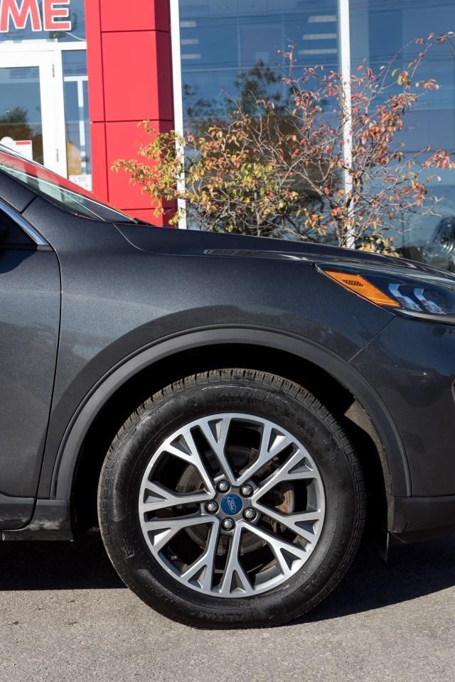 2020 Ford Escape SEL 4dr All-Wheel Drive Photo