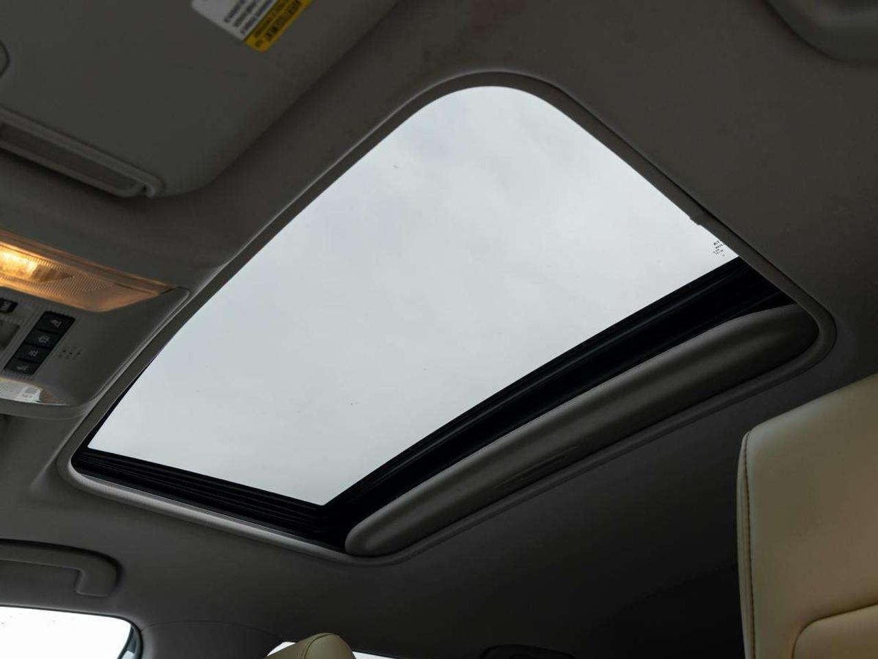 2019 Toyota RAV4 AWD Hybrid Limited Photo