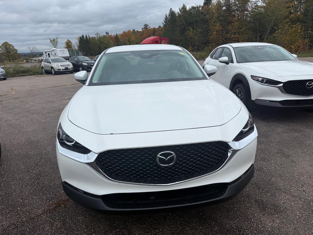 2026 Mazda CX-30 GX 4dr i-ACTIV All-Wheel Drive Sport Utility Photo