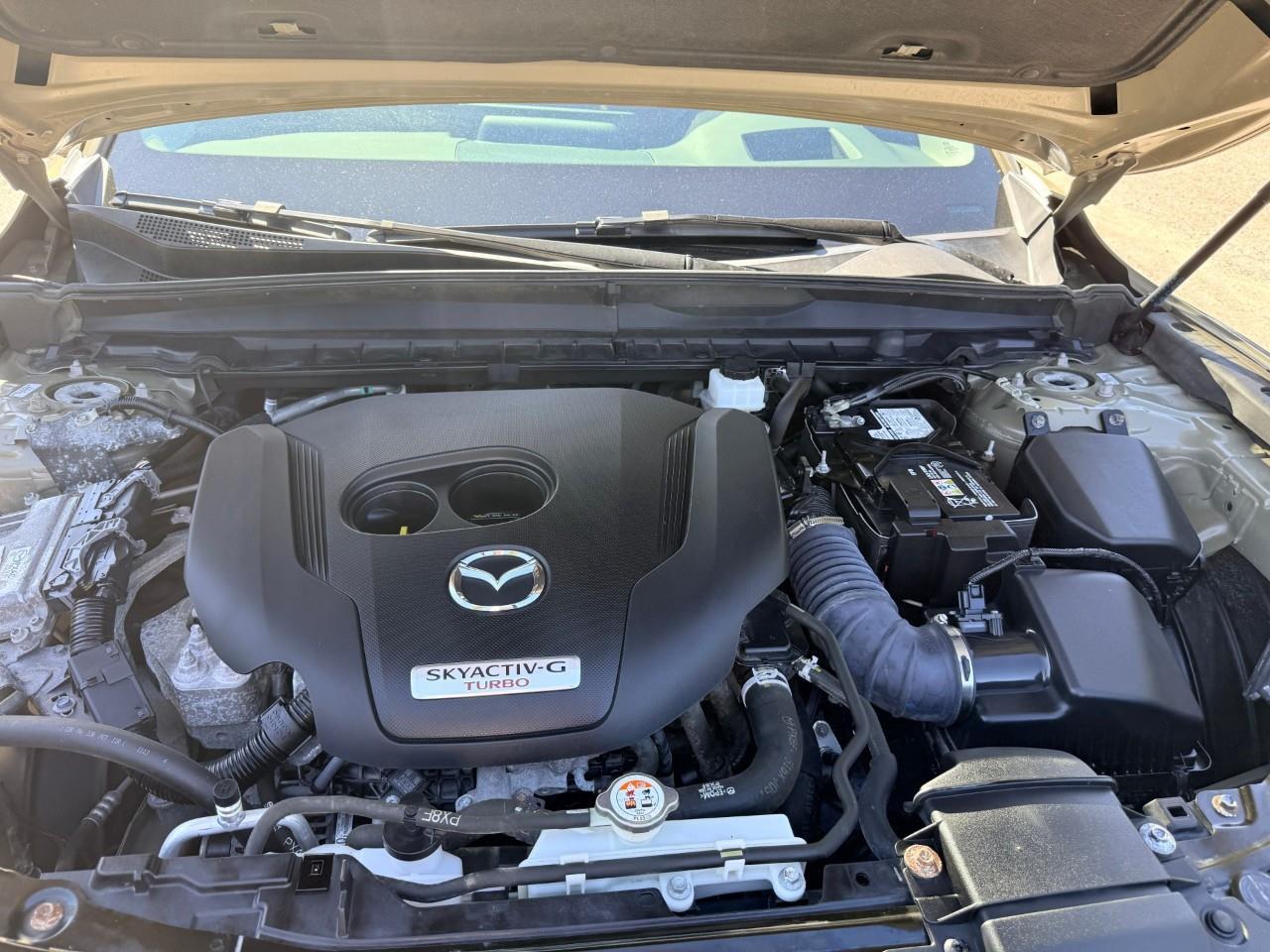 2024 Mazda CX-50 GT w/Turbo 4dr All-Wheel Drive Sport Utility Photo