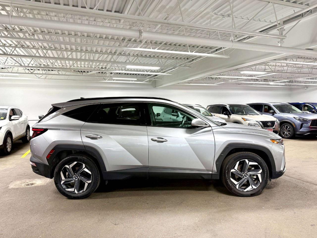 2024 Hyundai Tucson Hybrid Ultimate AWD Photo