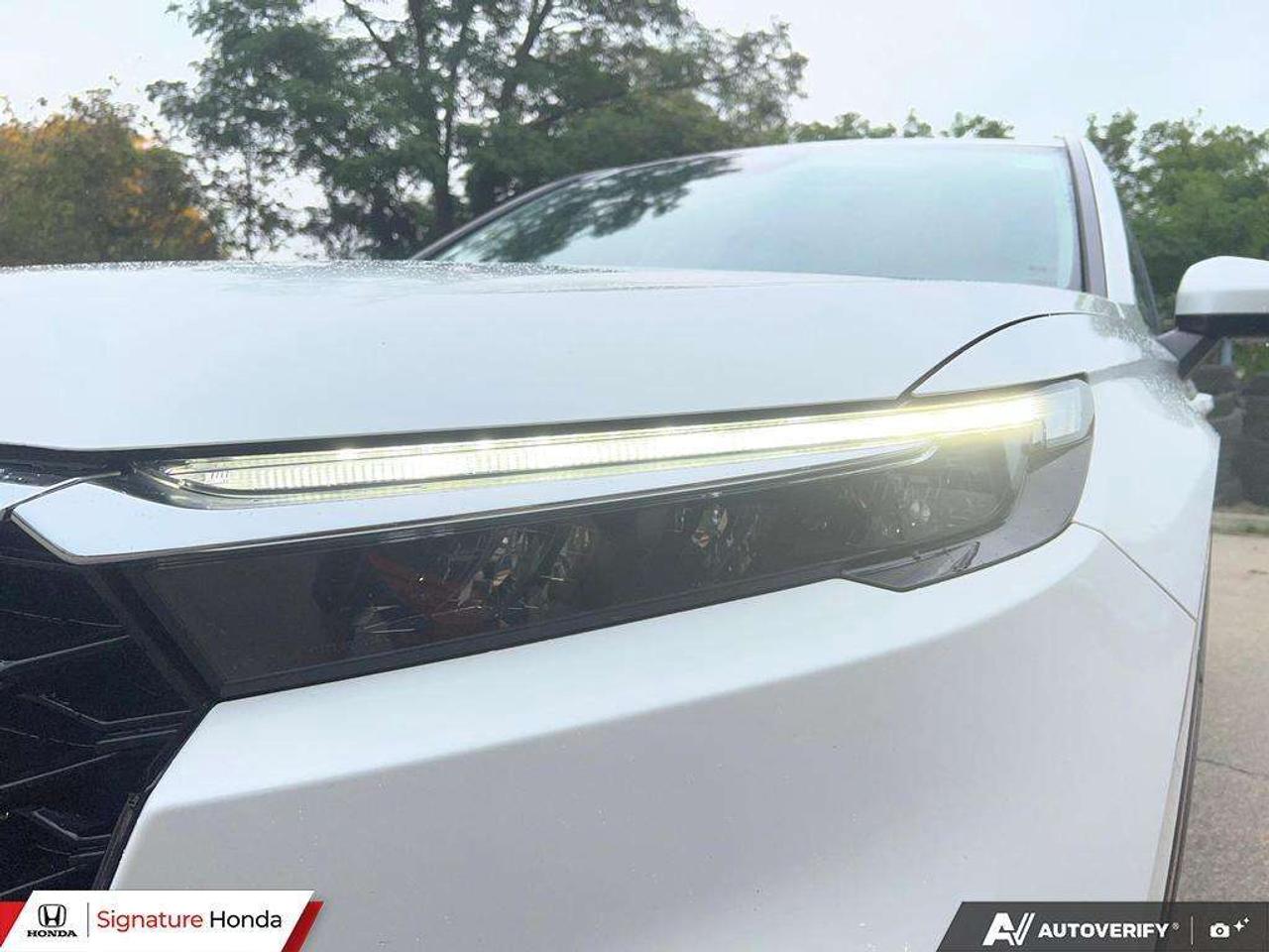 2023 Honda CR-V EX-L Photo