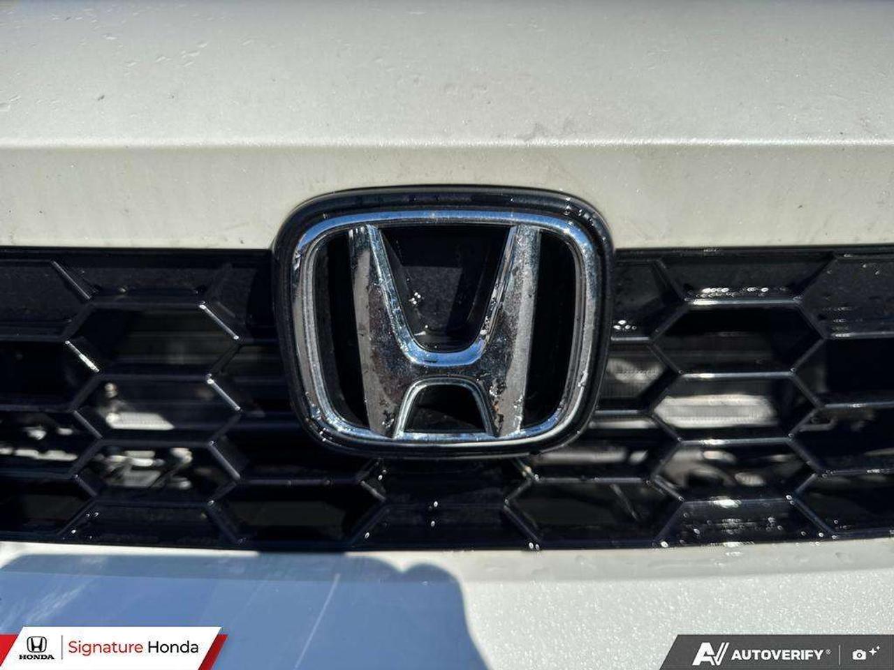 2026 Honda Civic Sport Touring Photo