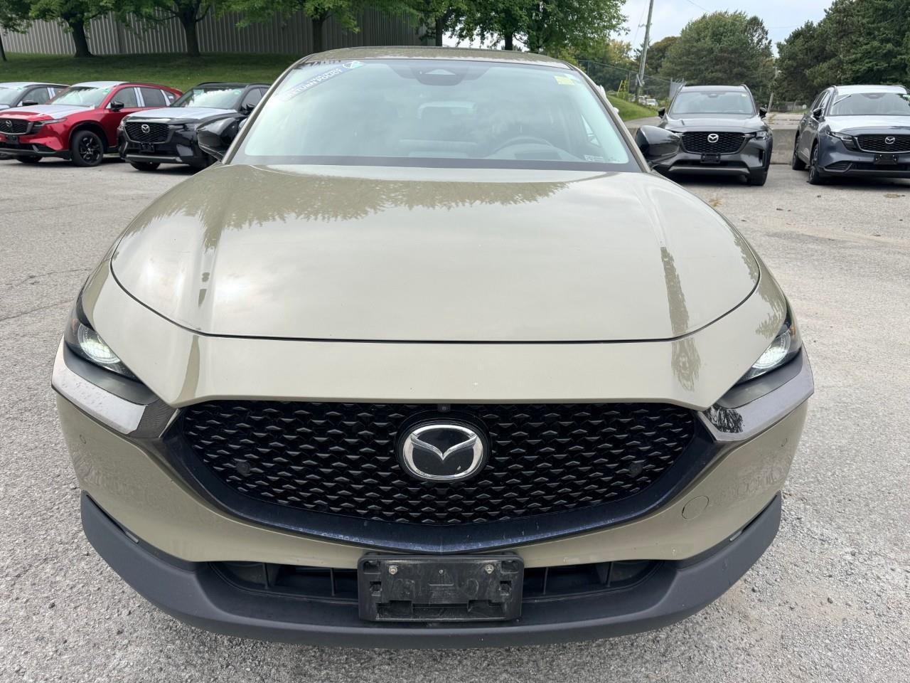 2024 Mazda CX-30 Suna 4dr i-ACTIV All-Wheel Drive Sport Utility Photo
