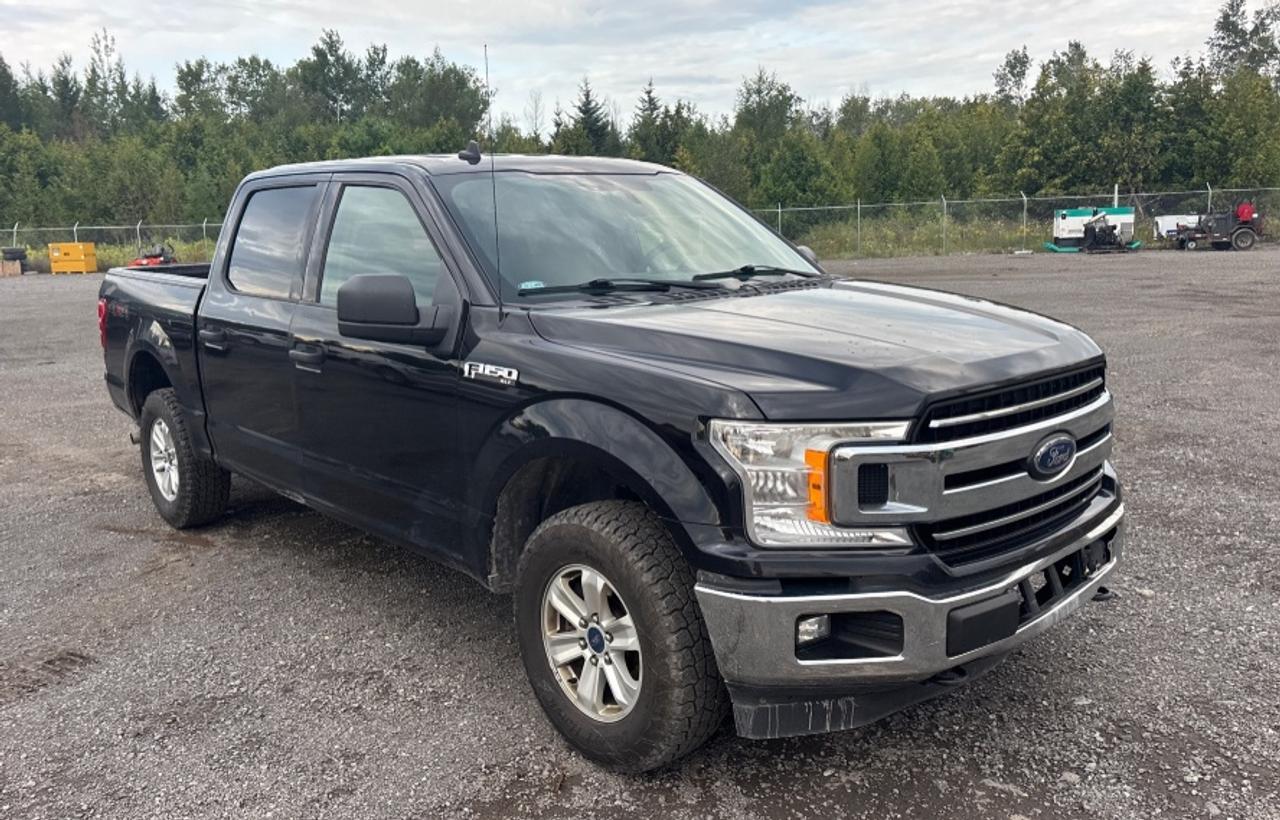 2020 Ford F-150 5.0L V8 XLT Crew Cab 4x4 - P-D84314 Photo0