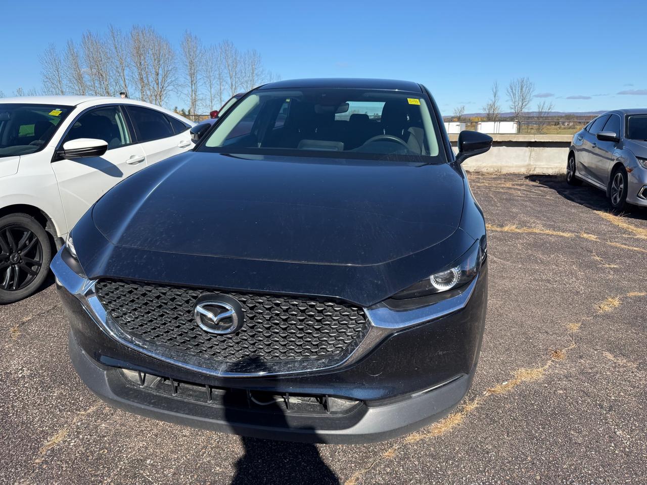 2020 Mazda CX-30 GX 4dr i-ACTIV All-Wheel Drive Sport Utility Photo
