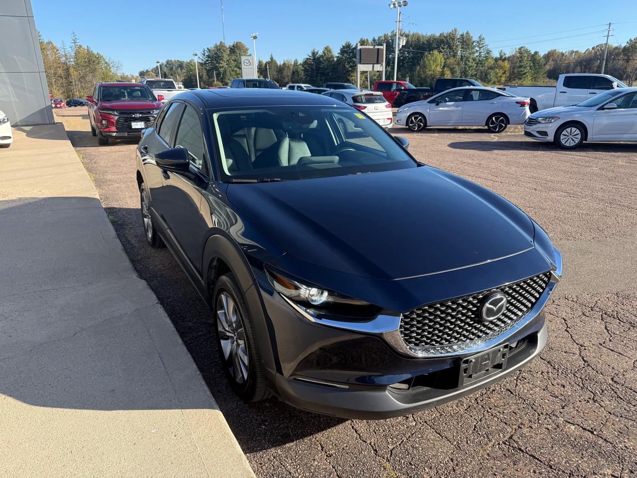 2023 Mazda CX-30 GS 4dr i-ACTIV All-Wheel Drive Sport Utility Photo