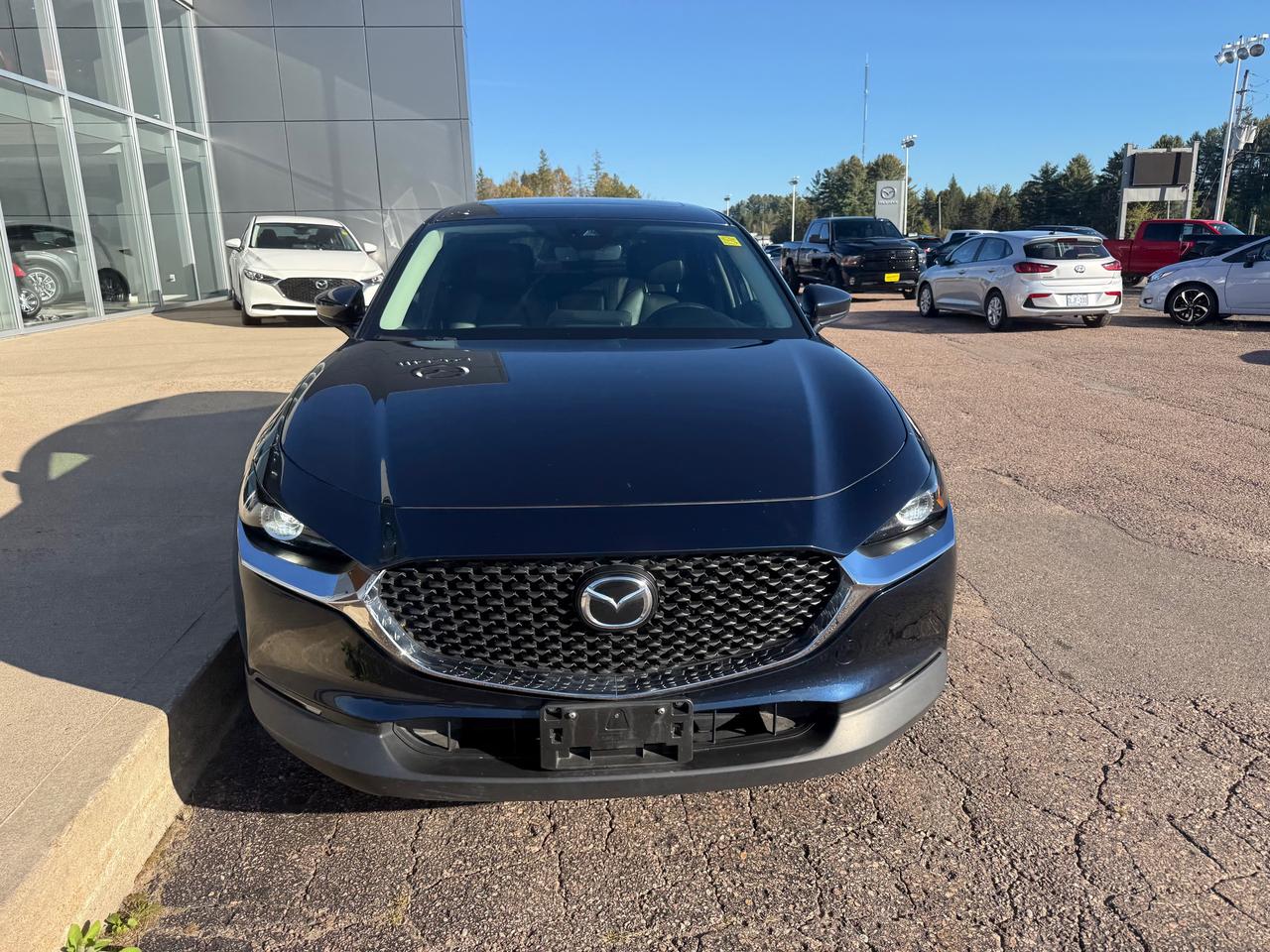 2023 Mazda CX-30 GS 4dr i-ACTIV All-Wheel Drive Sport Utility Photo