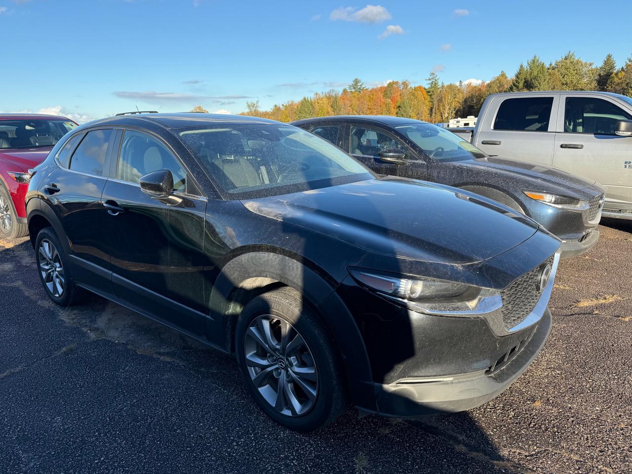 2021 Mazda CX-30 GS 4dr i-ACTIV All-Wheel Drive Sport Utility Photo