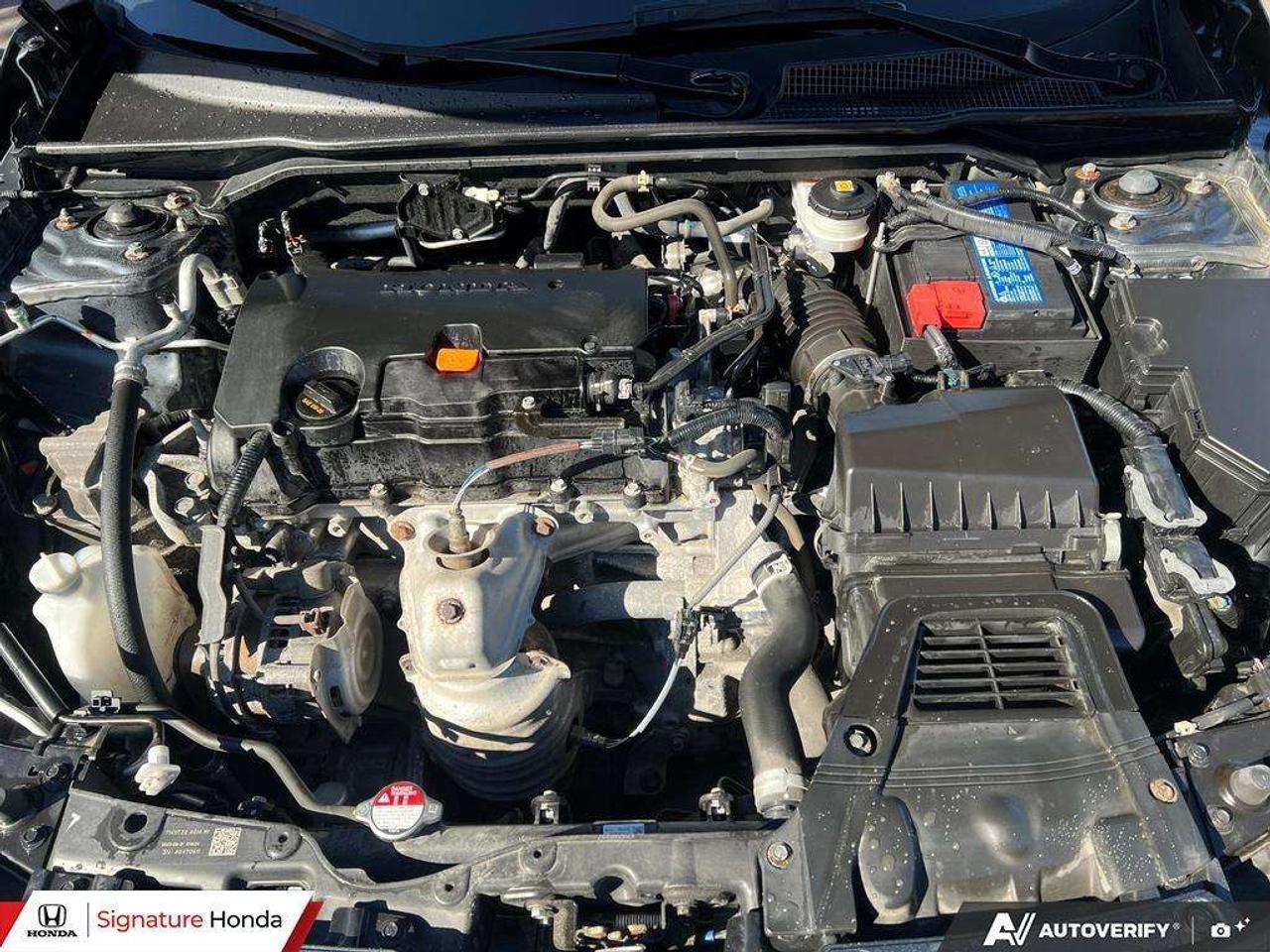 2024 Honda Civic EX Photo