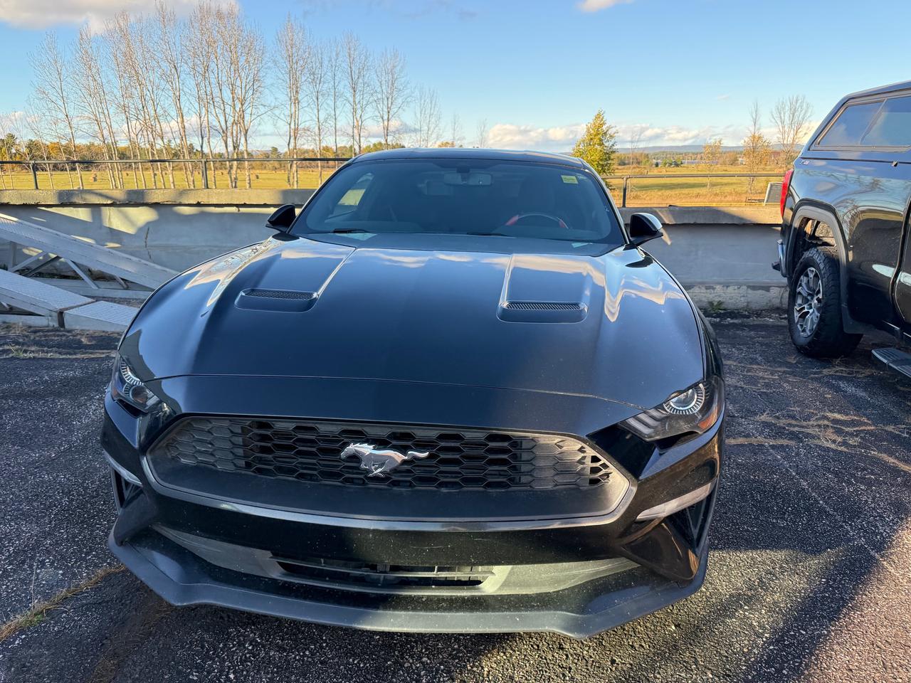 2018 Ford Mustang EcoBoost 2dr Fastback Photo1