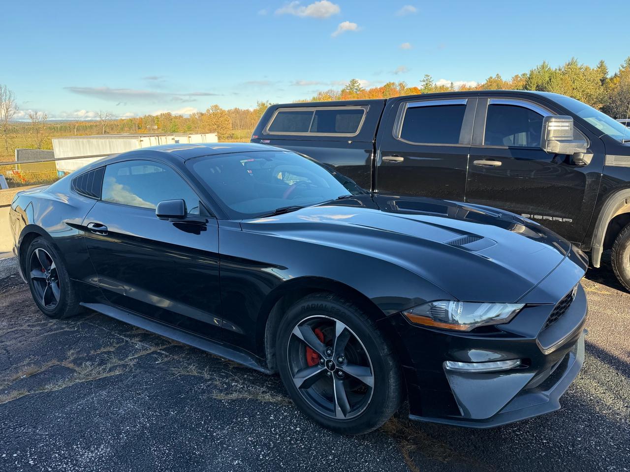 2018 Ford Mustang EcoBoost 2dr Fastback Photo