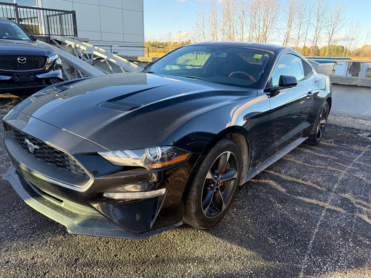 2018 Ford Mustang EcoBoost 2dr Fastback Photo0
