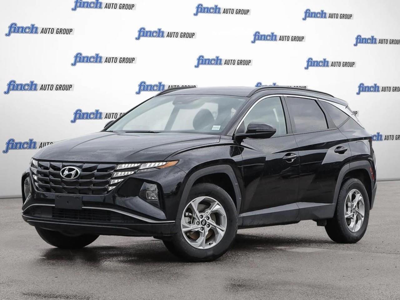 2024 Hyundai Tucson  Photo0