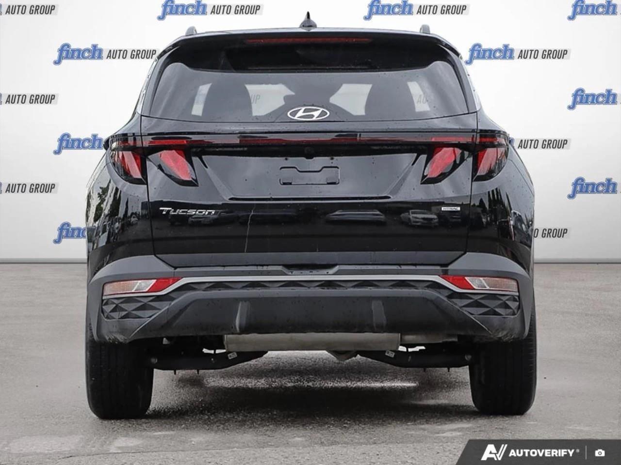 2024 Hyundai Tucson  Photo
