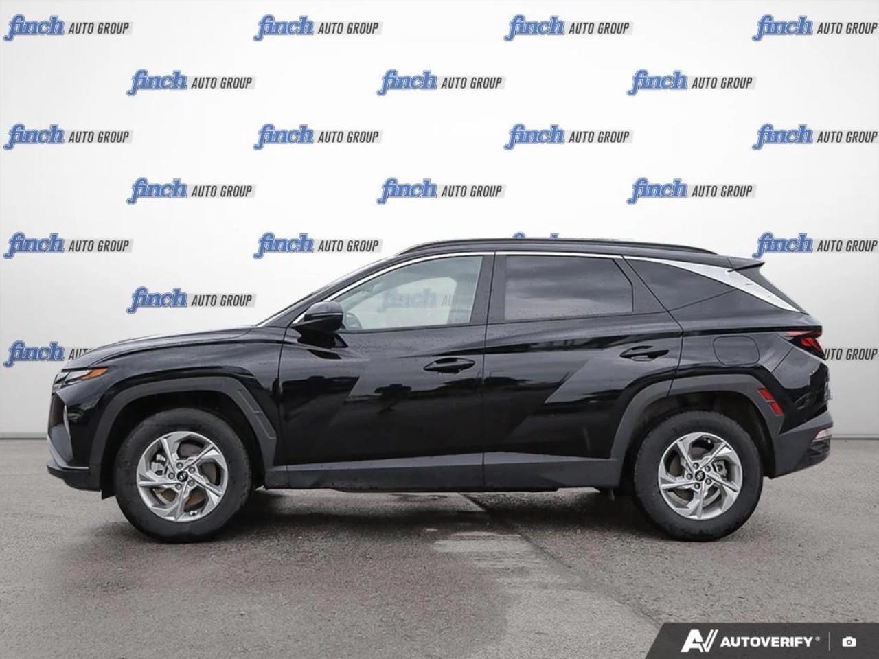 2024 Hyundai Tucson  Photo
