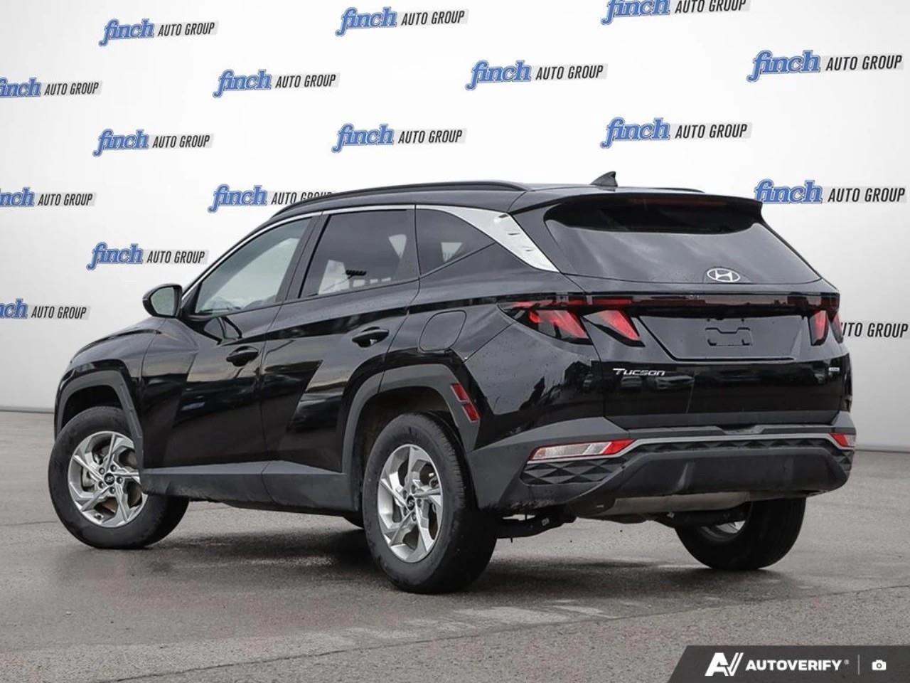 2024 Hyundai Tucson  Photo