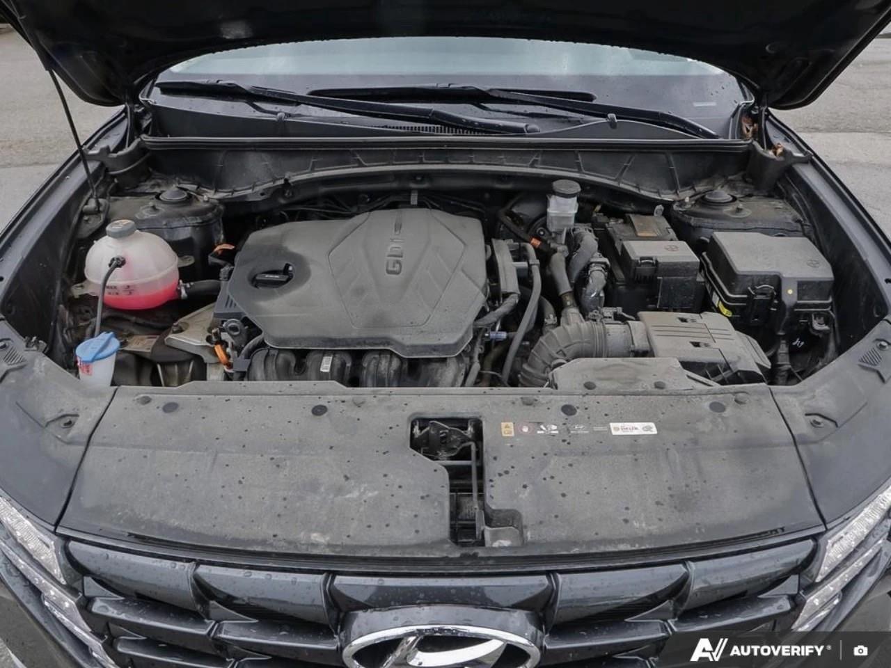 2024 Hyundai Tucson  Photo