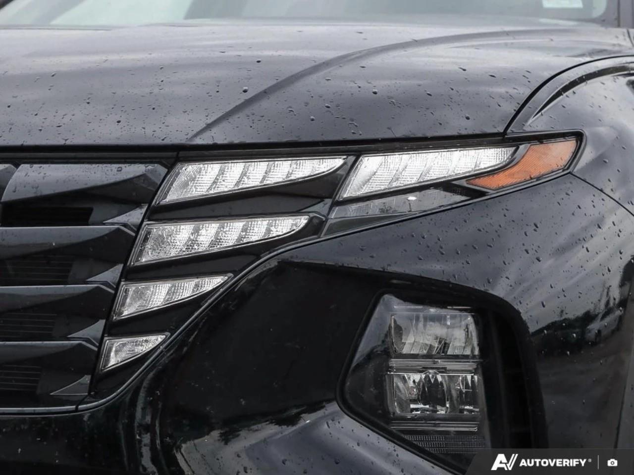 2024 Hyundai Tucson  Photo