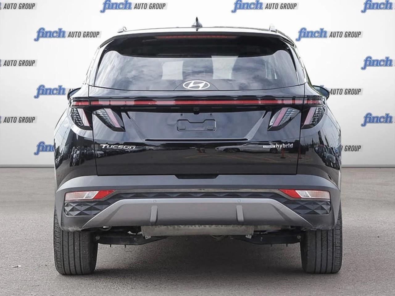 2024 Hyundai Tucson Hybrid  Photo