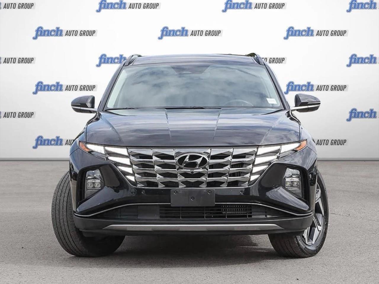 2024 Hyundai Tucson Hybrid  Photo