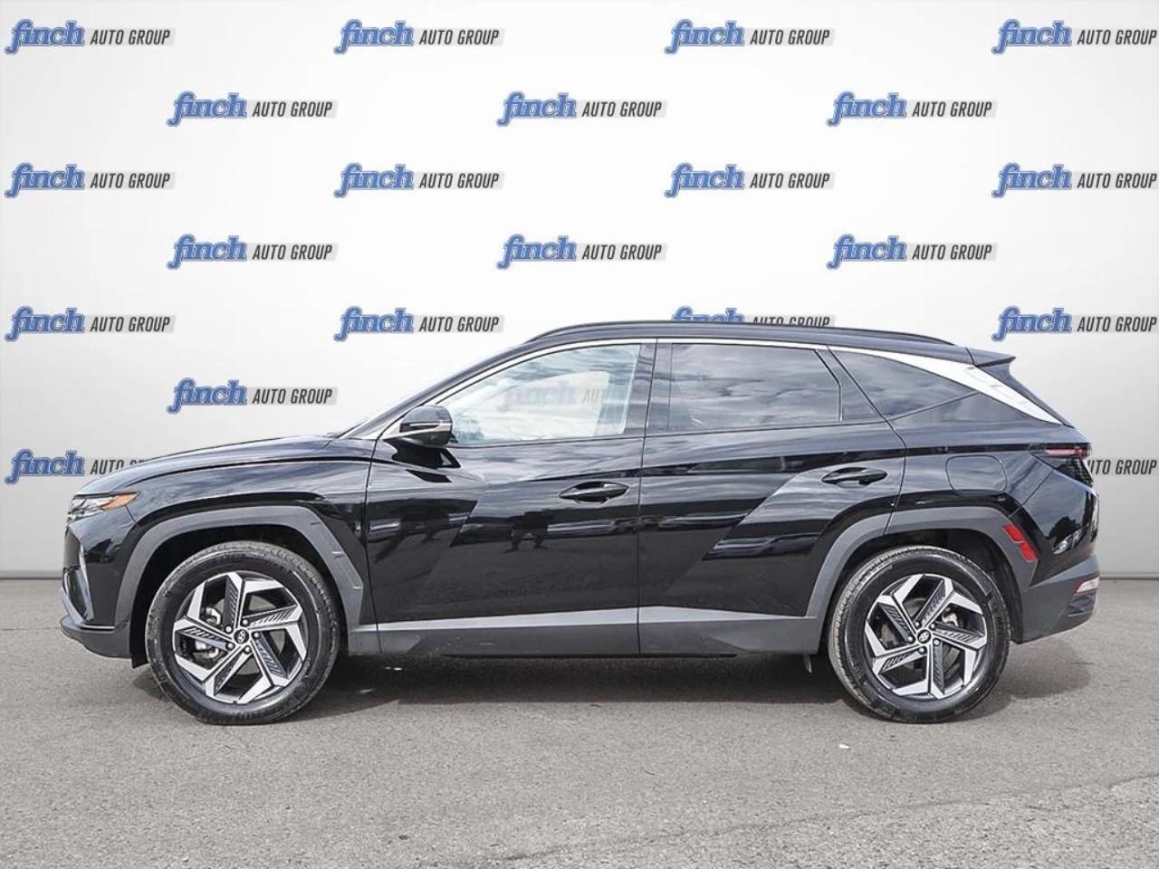 2024 Hyundai Tucson Hybrid  Photo