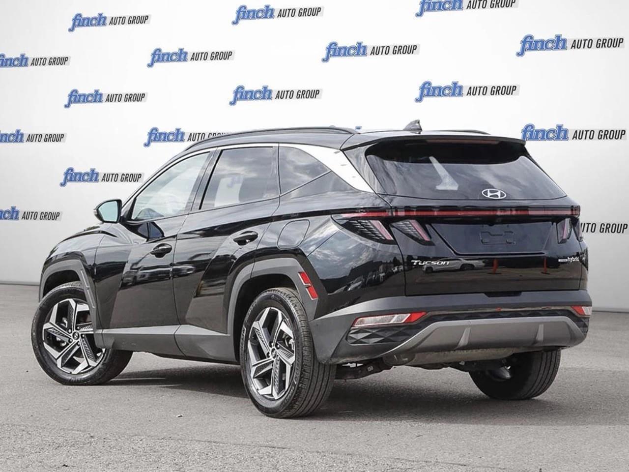 2024 Hyundai Tucson Hybrid  Photo