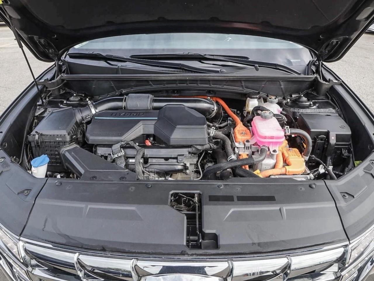 2024 Hyundai Tucson Hybrid  Photo