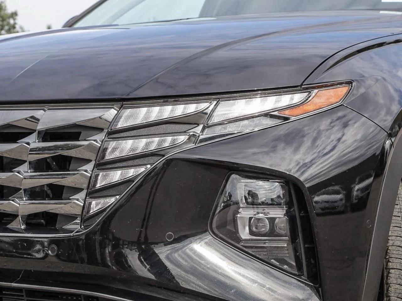 2024 Hyundai Tucson Hybrid  Photo
