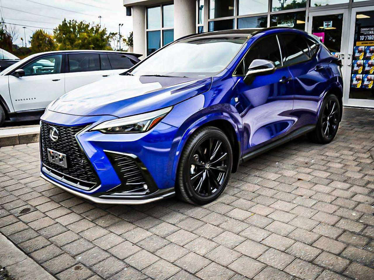 2025 Lexus NX  Photo