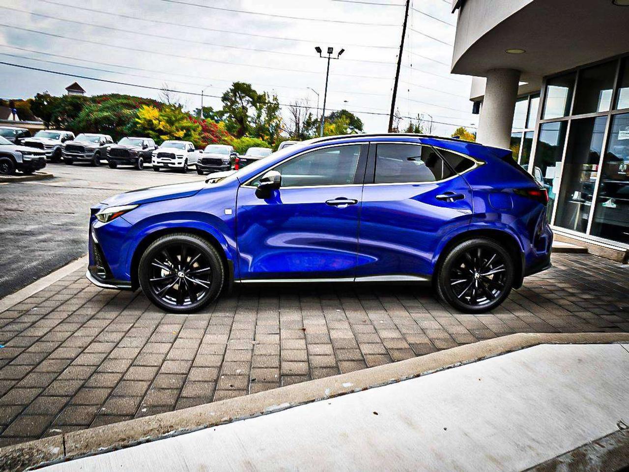 2025 Lexus NX  Photo
