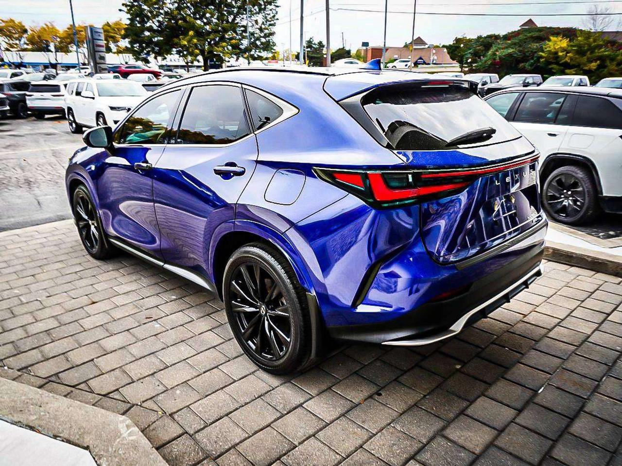 2025 Lexus NX  Photo