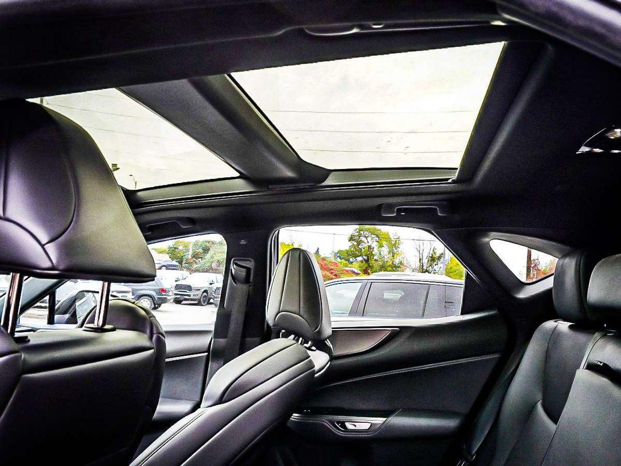 2025 Lexus NX  Photo