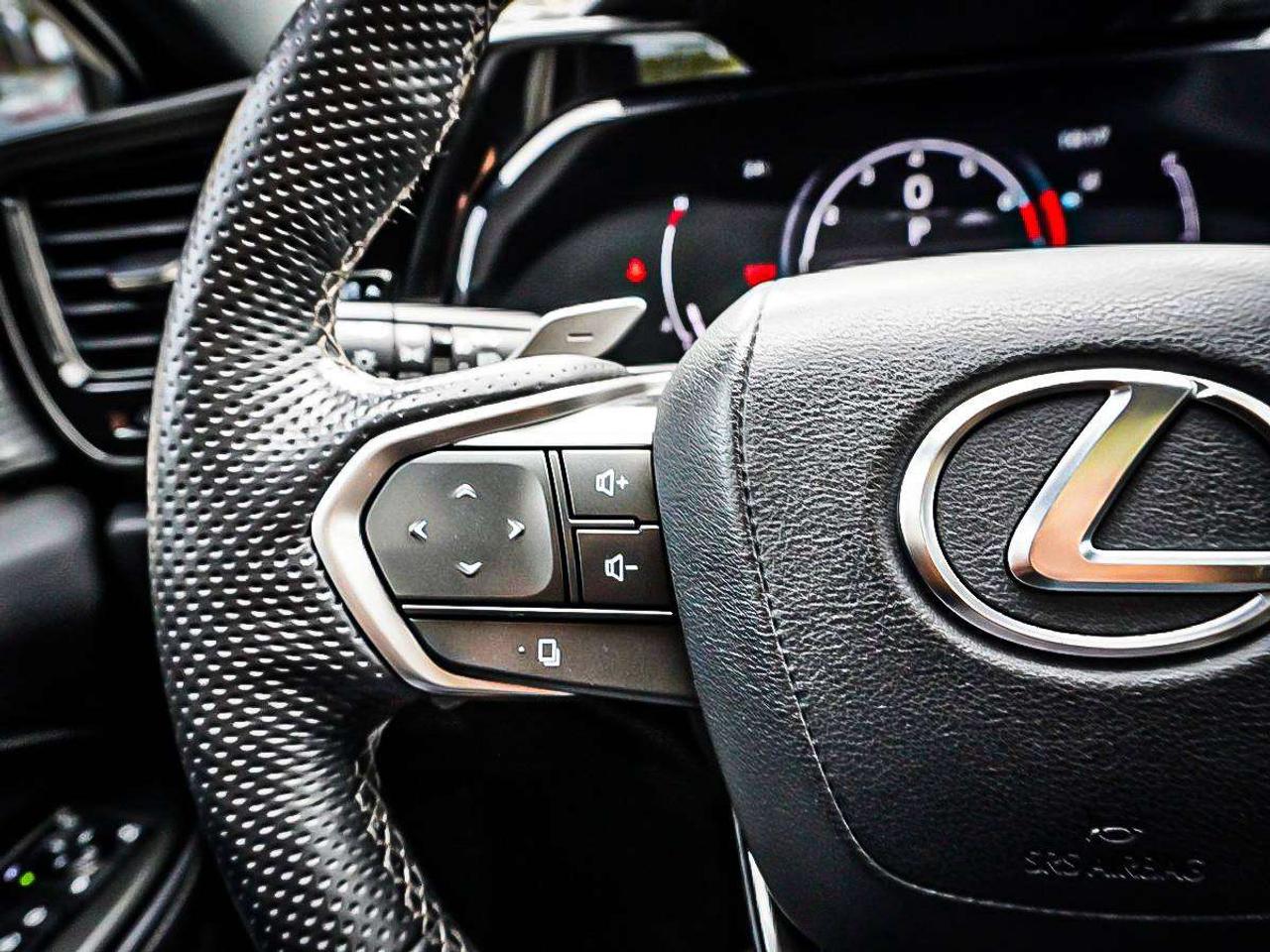 2025 Lexus NX  Photo