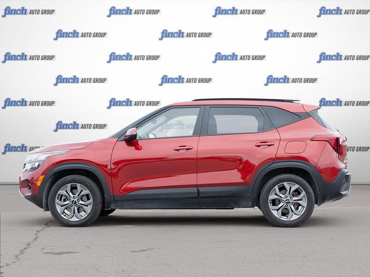 2025 Kia Seltos  Photo
