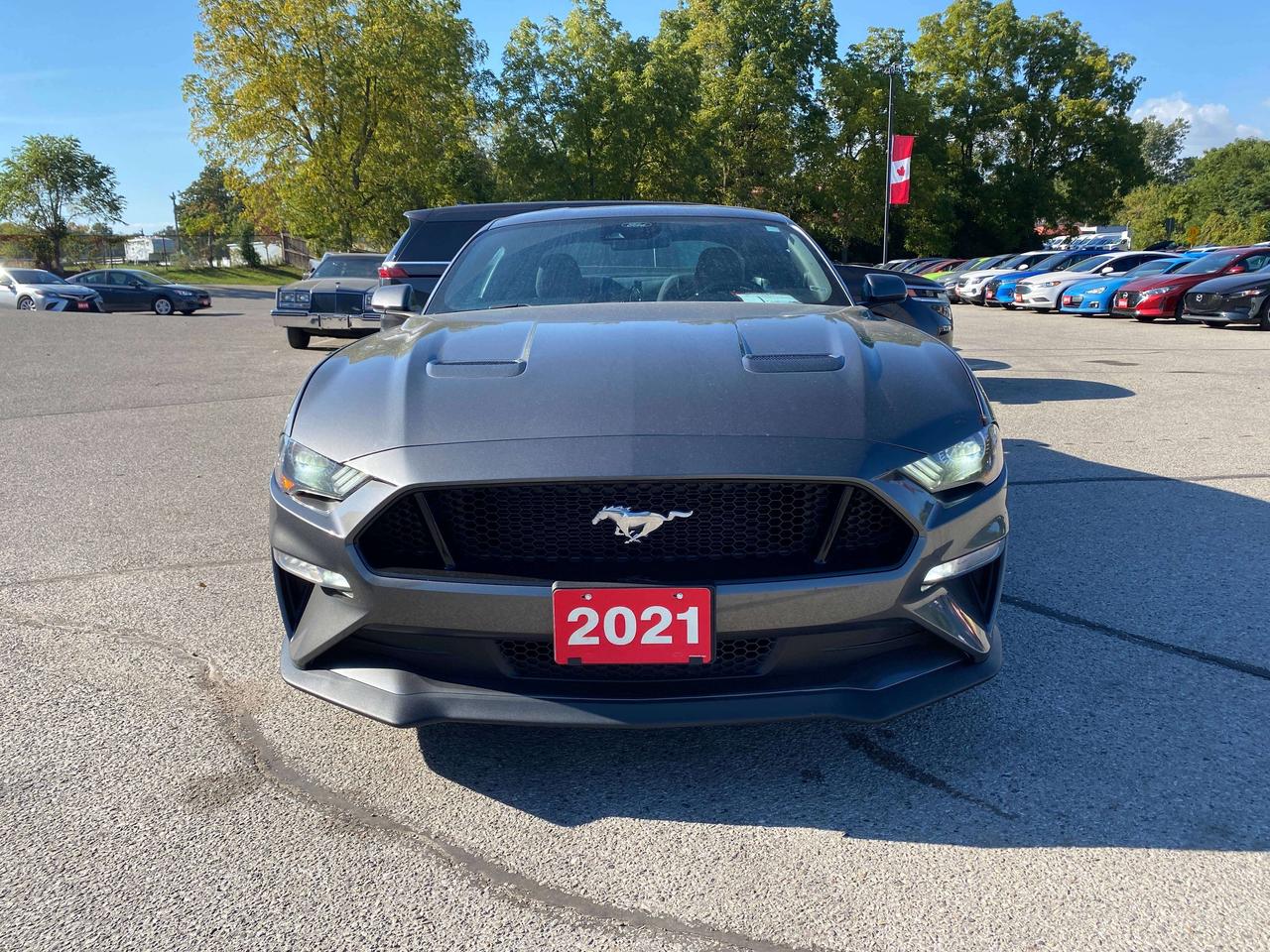 2021 Ford Mustang GT, 5 LITER, 6 SPEED MANUAL, 91 000 KMS! Photo