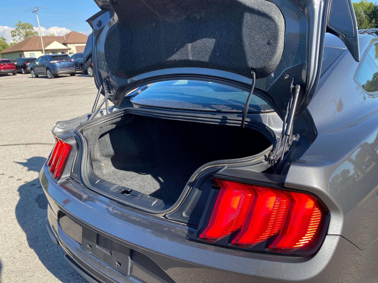 2021 Ford Mustang GT, 5 LITER, 6 SPEED MANUAL, 91 000 KMS! Photo