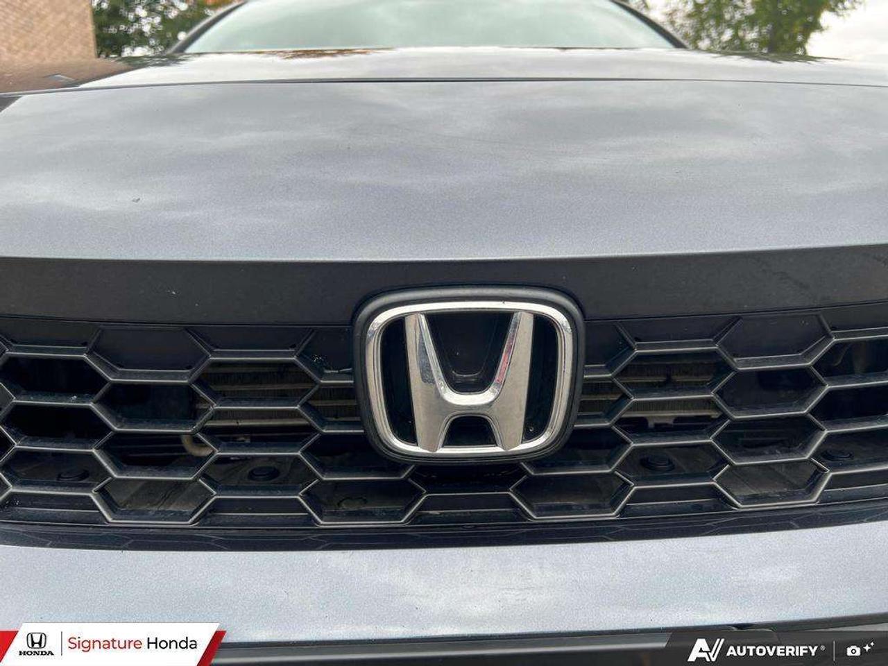 2026 Honda Civic Sport Photo